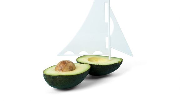 Illustratie avocado in bootje