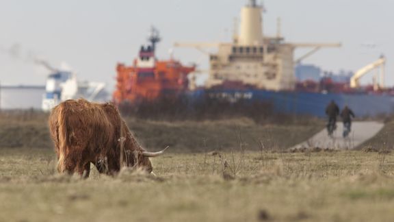 Scottish Highlanders in the port