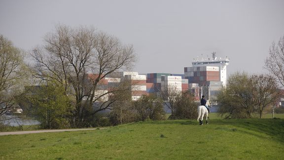 Rider on horseback in Rotterdam port