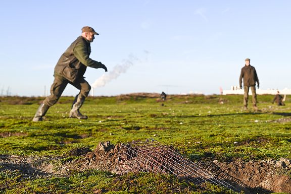 Konijnen vangen