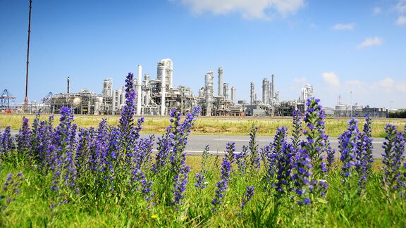 Raffinerie mit Lavendel im Vordergrund