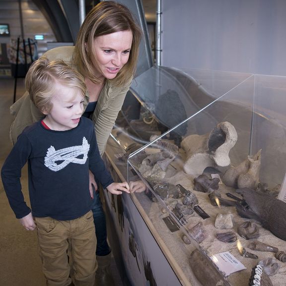 Vrouw en kind kijken naar fossielen in vitrine